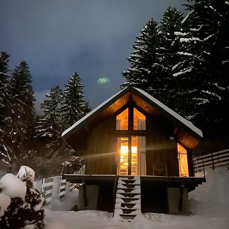فيلا Bramble Tiny House Zărneşti المظهر الخارجي الصورة