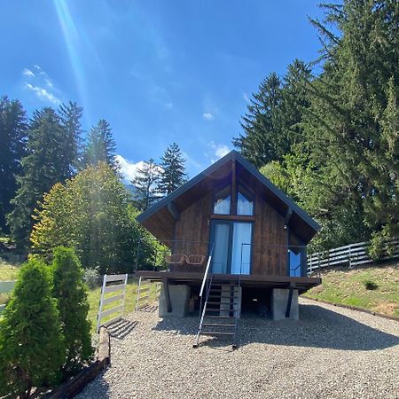 فيلا Bramble Tiny House Zărneşti المظهر الخارجي الصورة