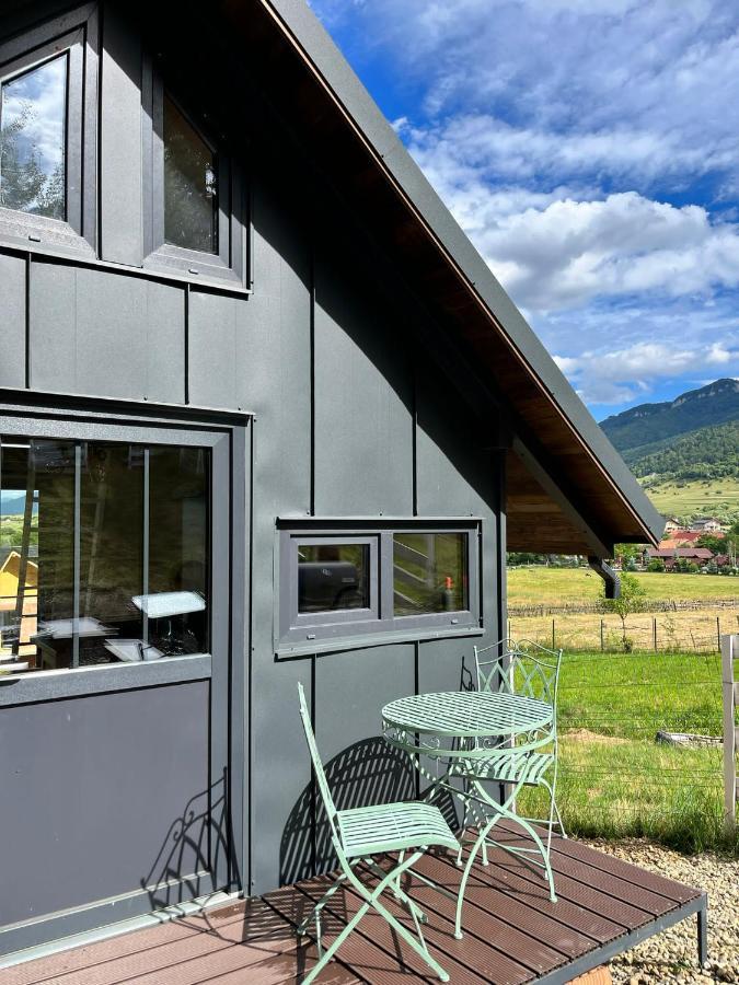 فيلا Bramble Tiny House Zărneşti المظهر الخارجي الصورة