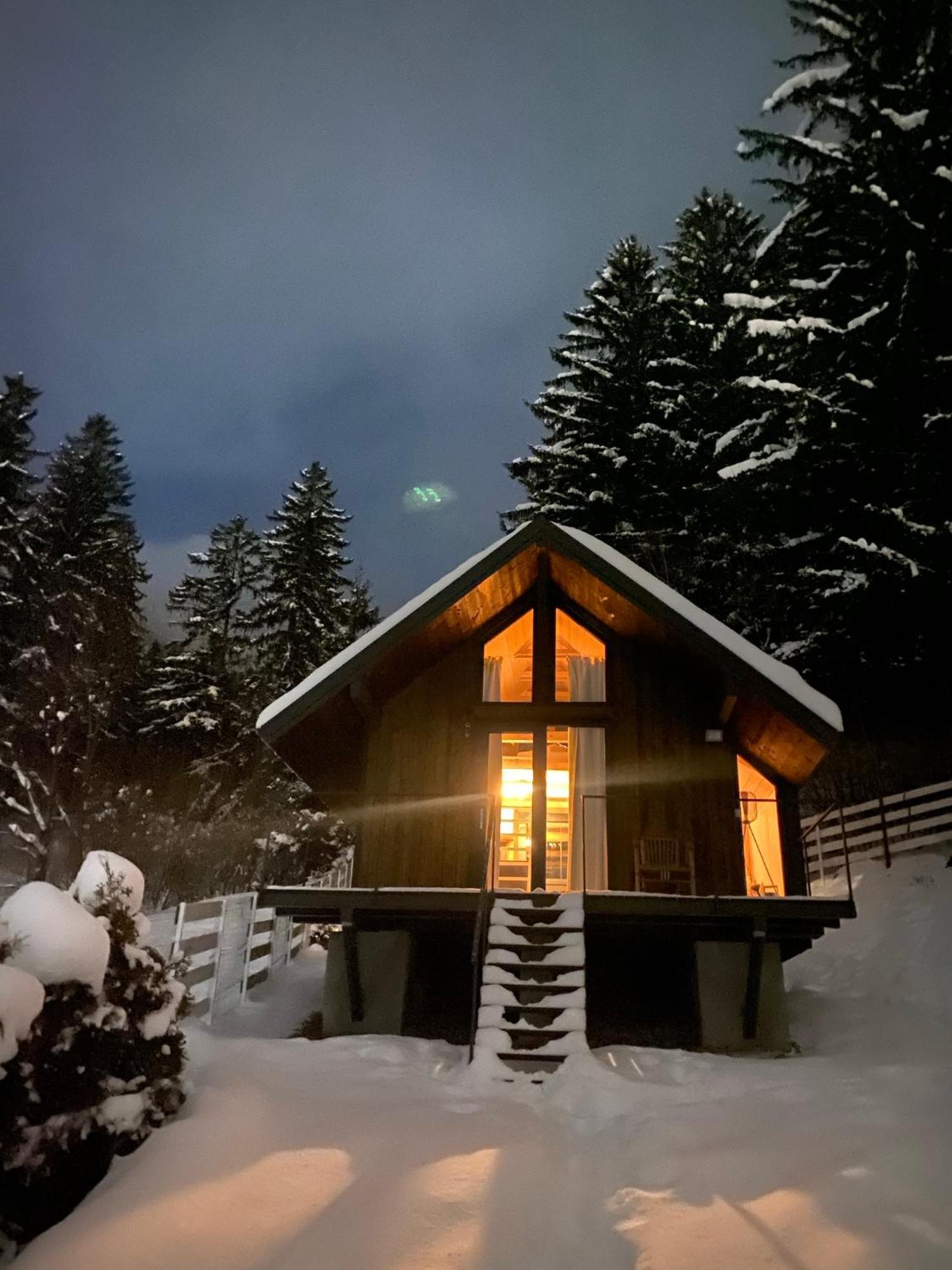 فيلا Bramble Tiny House Zărneşti المظهر الخارجي الصورة